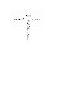 Pārdotājs no paralēlās